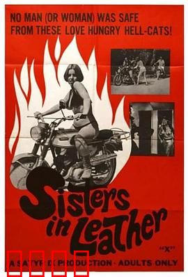 皮衣姐妹：铁血柔情