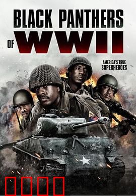 二战黑豹：钢铁传奇