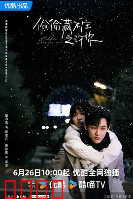 偷偷藏不住之许你：心动暗恋