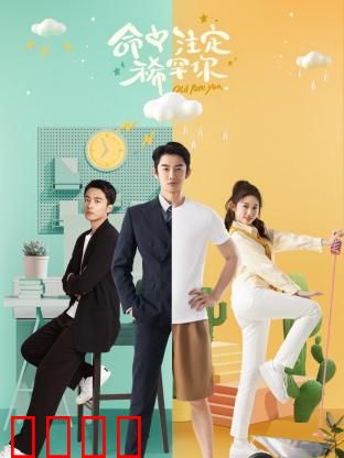 命中注定稀罕你：命运的交织