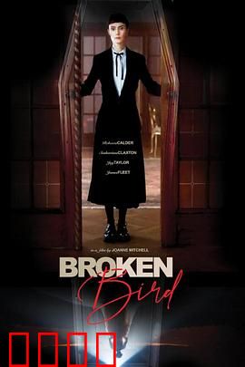 折翼鸟：破碎梦想与希望