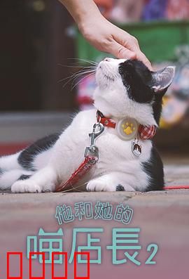 他和她的喵店长2：猫咪与爱情
