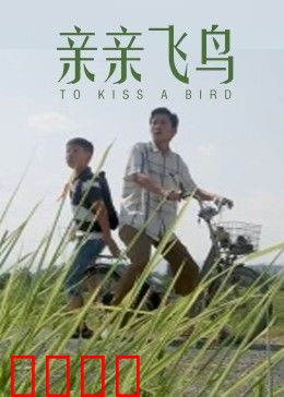 亲亲飞鸟：夏日初恋