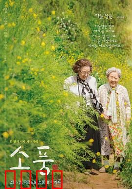 郊游2023：迷雾森林