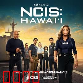 海军罪案调查处：探案巅峰之作