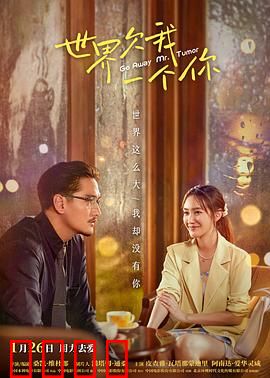 世界欠我一个你：错过的爱情