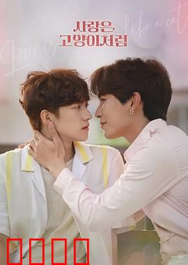 爱情像猫一样：自由的伴侣