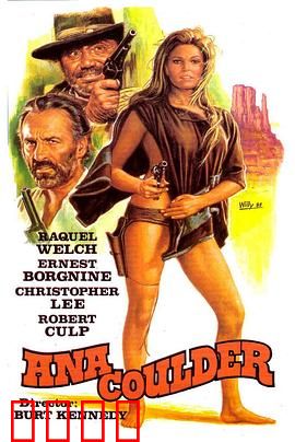 复仇的女枪手：荒野复仇记