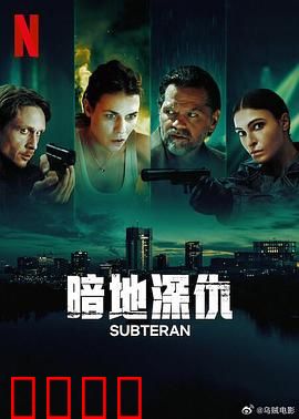 暗地深仇：爱与背叛的代价