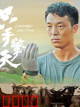 只手擎天：独臂拳王复仇记