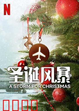 圣诞风暴：风雪中的温暖