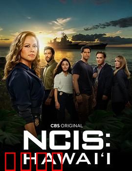 海军罪案调查处：暗影猎手