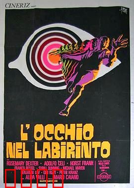 迷宫眼：迷雾中的真相