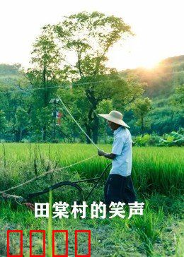 田棠村的笑声：笑声背后的振兴路