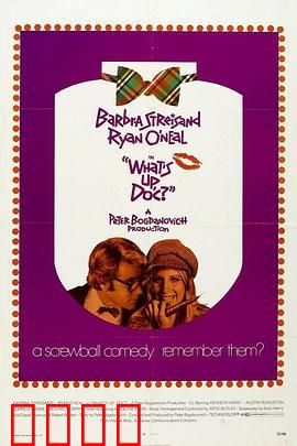 爱的大追踪：疯狂一夜