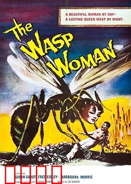 黄蜂女：量子救母