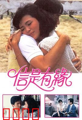 信是有缘粤语：错失的爱