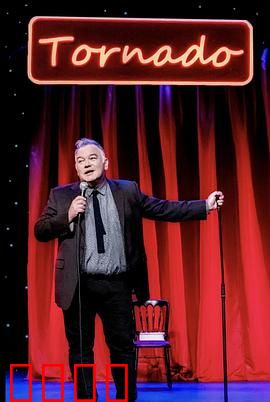 斯图尔特·李：孤独喜剧家