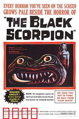 黑蝎：致命诅咒