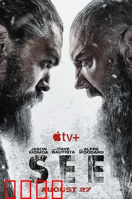 看见第二季：平凡英雄的闪光时刻