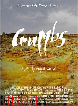 末日后的宇宙碎片：生存的希望