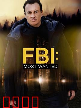 联邦调查局：暗夜追凶