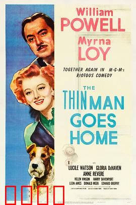 疑云风波：迷雾背后的真相