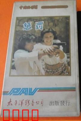 惩罚1980：正义的囚笼