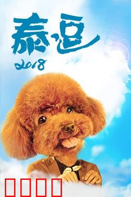 泰逗2018：爆笑泰国之旅