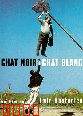 黑猫白猫：吉普赛狂欢下的爱情