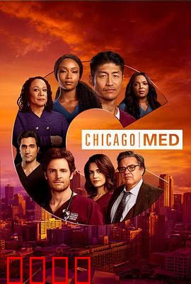 芝加哥急救第六季：医者担当