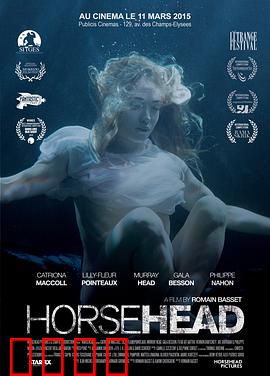 马头：梦魇中的清醒