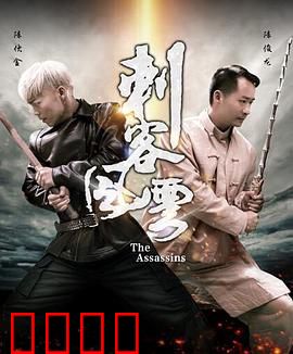 刺客风云：暗夜杀机