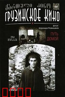 返乡之路：归途与新生