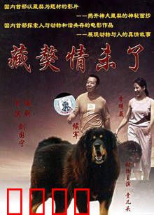 藏獒情未了：人狗奇缘催泪