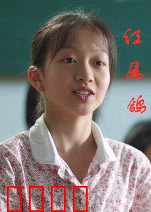 红尾鸽：战火中的信使