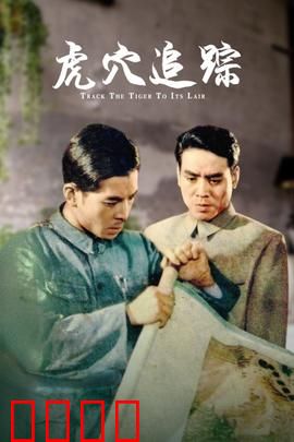 虎穴追踪：深入敌营擒特务