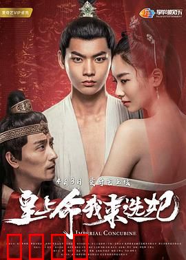 皇上命我来选妃：穿越女逆袭记