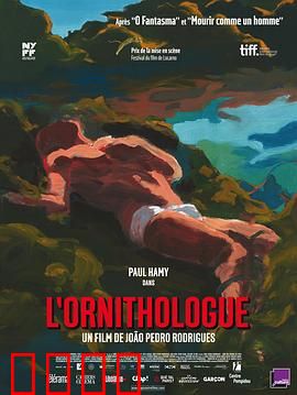 鸟类学家：迷失森林的救赎