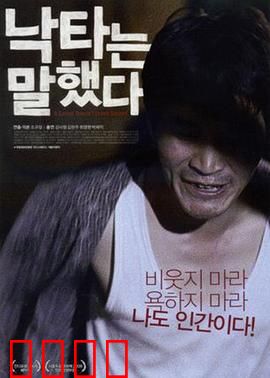 骆驼说话了：沙漠中的奇迹