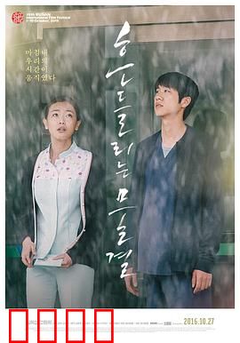 绽放2015：追梦青春