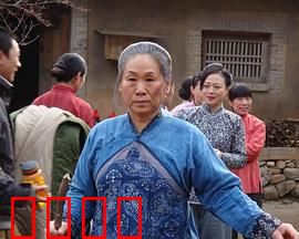 野茱萸：山果里的宿命