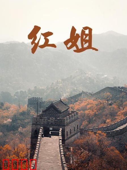 红姐2017：生死抉择