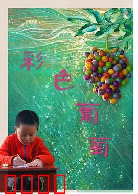 彩色葡萄：爱与传承