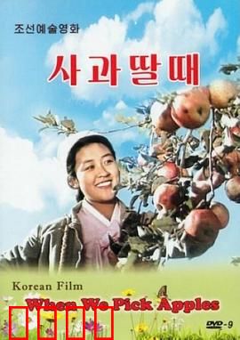 摘苹果的时候：青春与丰收