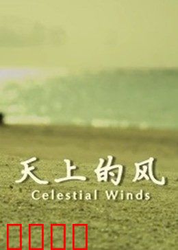 天上的风：天空之翼的觉醒