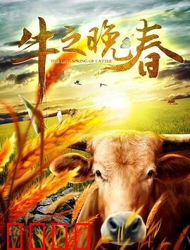 牛之晚春：老牛最后的倔强