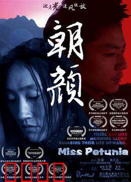 朝颜：母爱的绽放