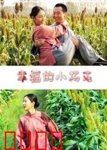 幸福的小杨屯：乡村致富路
