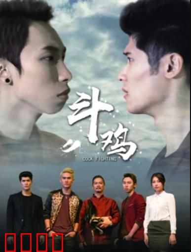 斗鸡：赌徒的悲剧人生